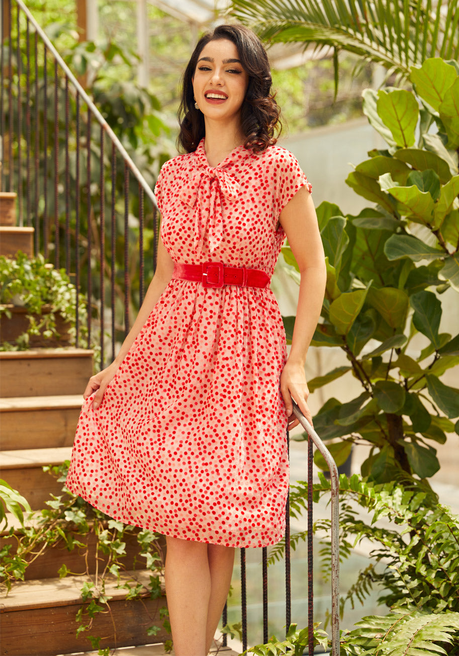  Confetti Confection Fit And Flare Dress