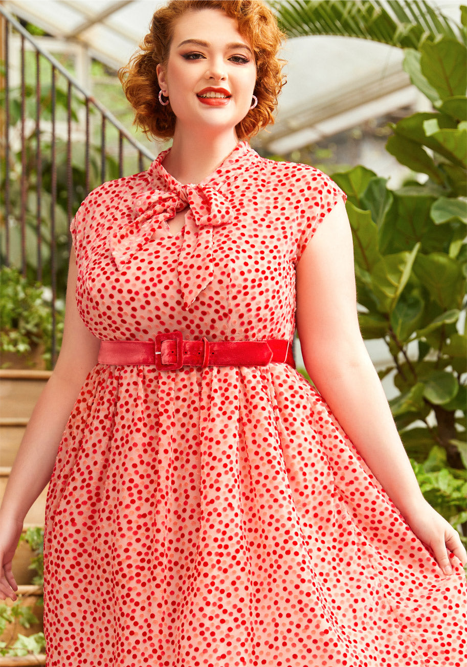  Confetti Confection Fit And Flare Dress