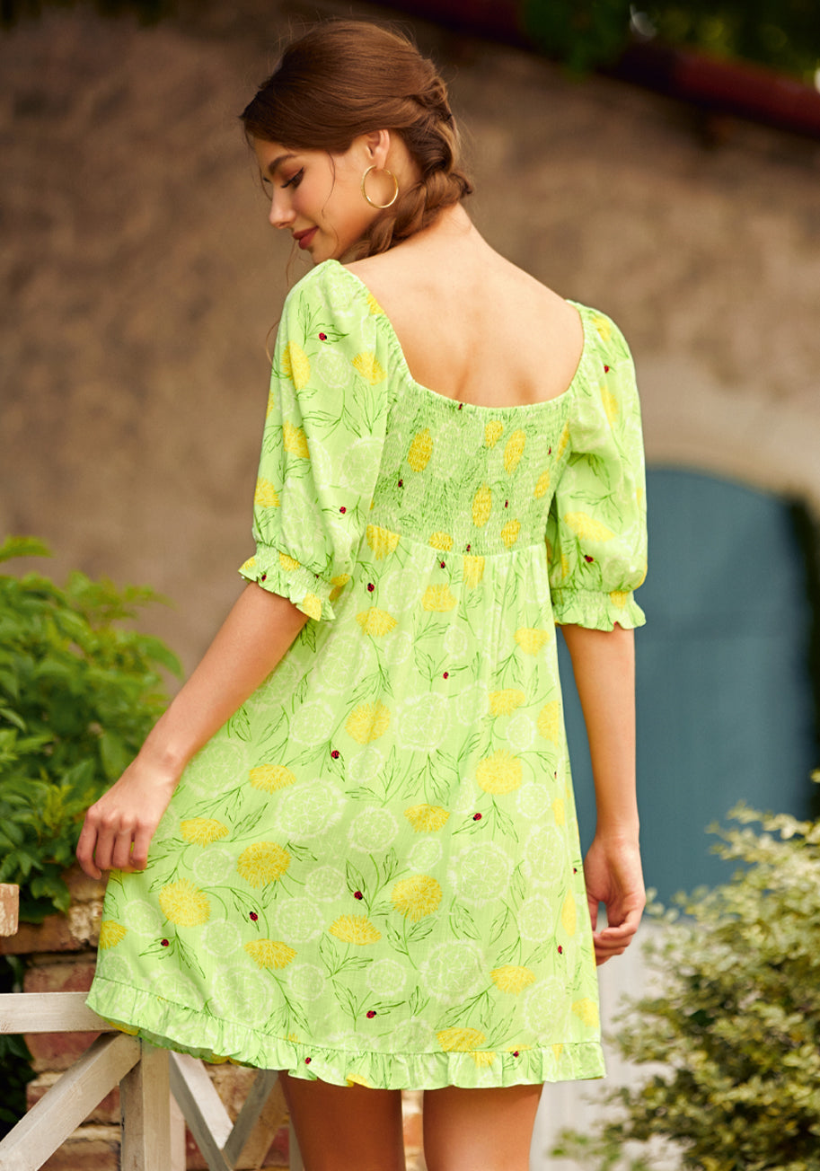  Picnic In Paradise Babydoll Dress