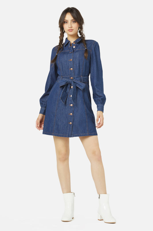  Tansy LS Mini Dress